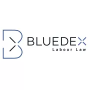 BLUEDEX Labour Law logo
